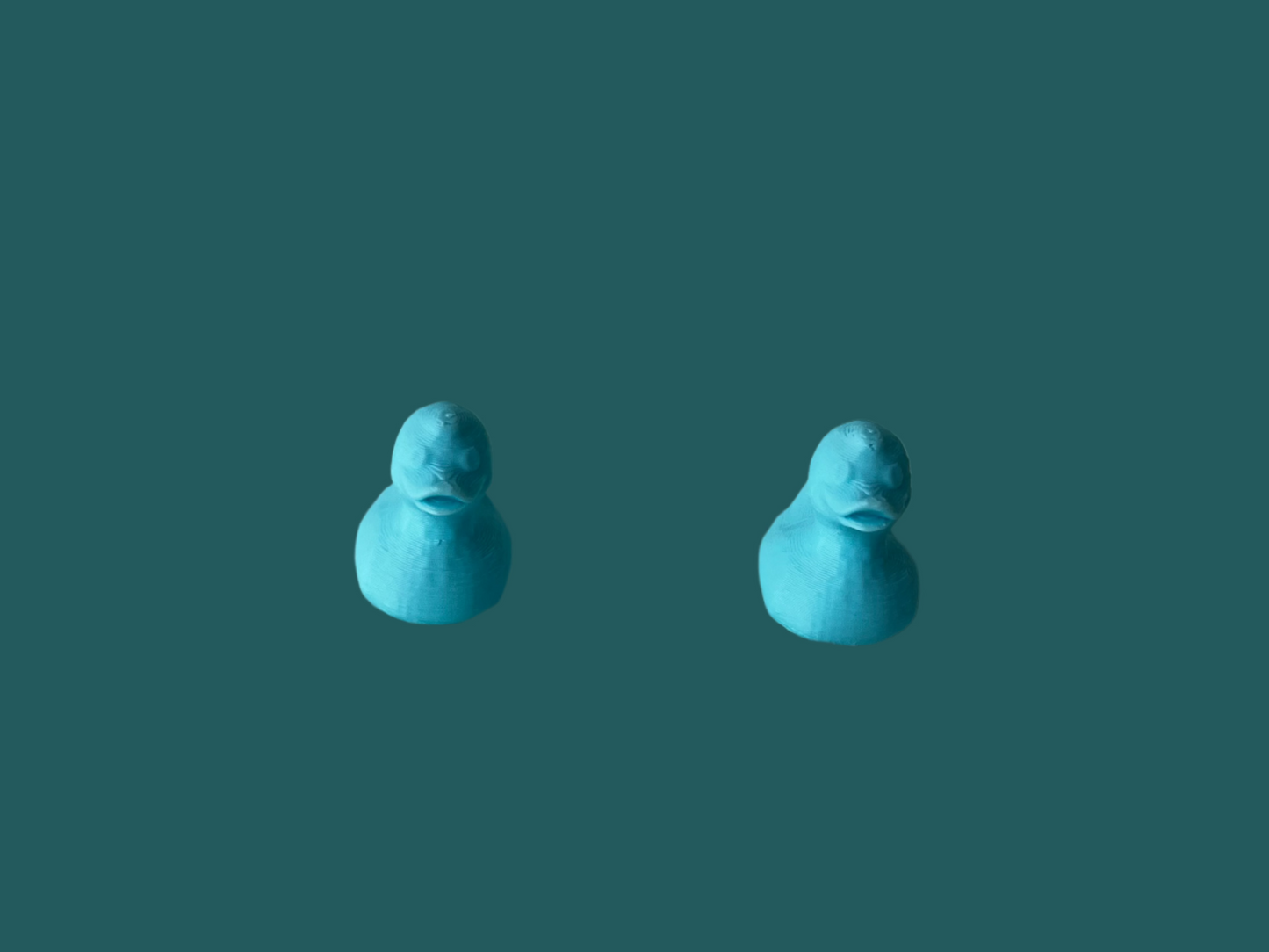 Mini Magnet Ducks (10 Count)