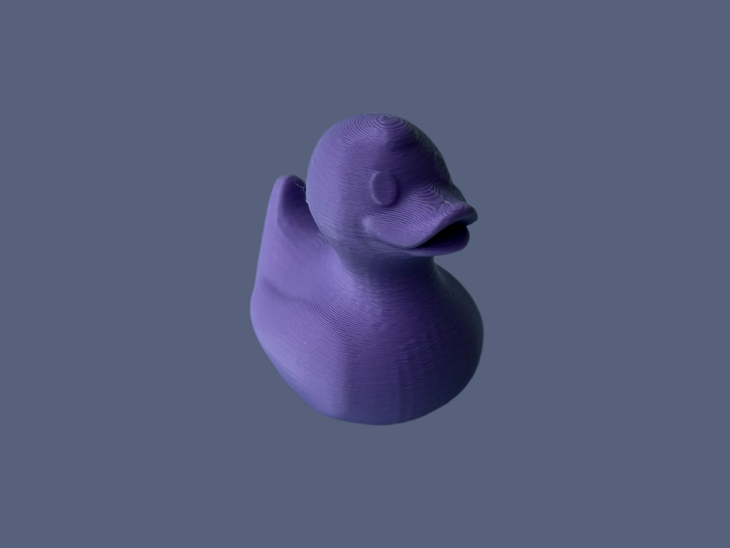 3D Purple Ducks (5/10/20/50 Count)