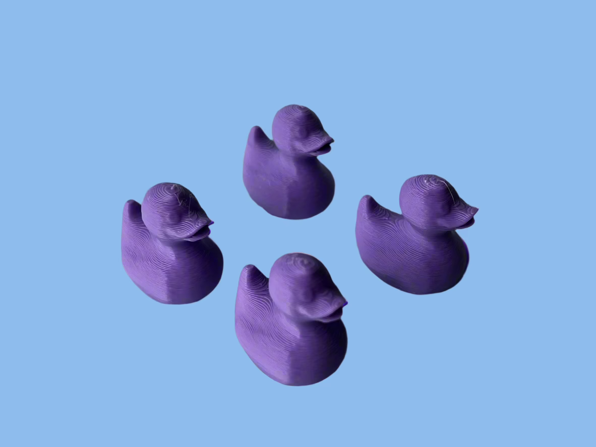 Mini Magnet Ducks (10 Count)